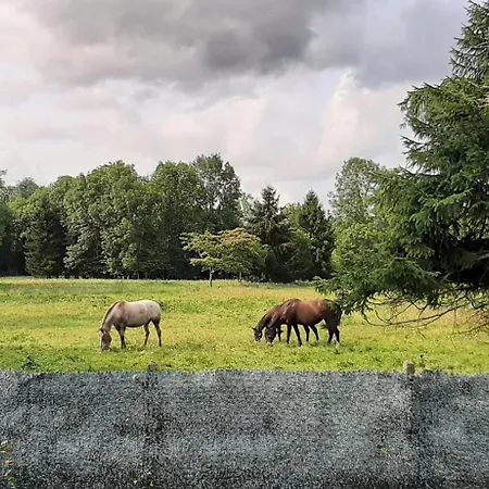 Holiday home Maison Familiale A